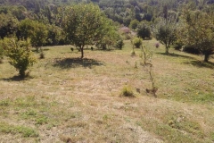 Jardin vers le Salembre